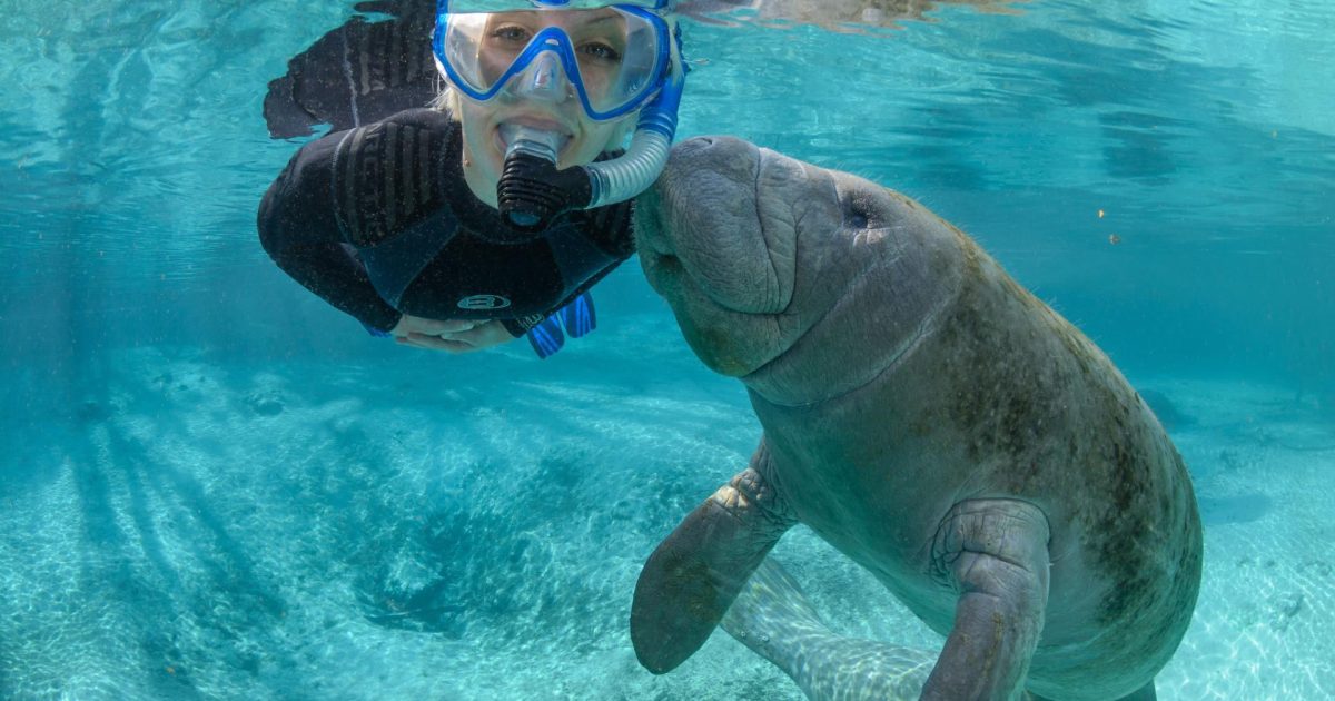 Crystal River Destination Signals